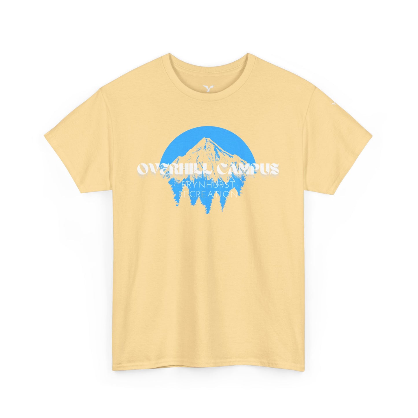 Overhill campus brynhurst recreationHeavy Cotton Tee