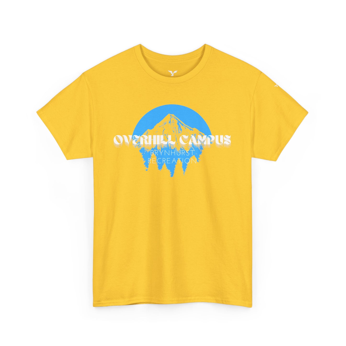 Overhill campus brynhurst recreationHeavy Cotton Tee