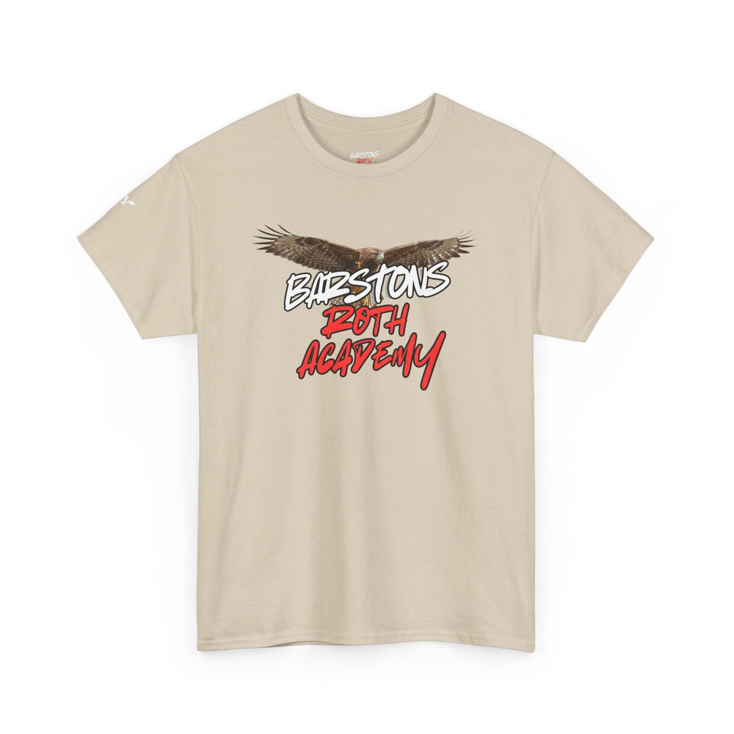 Barstons Roth Academy lost letter hawk crest  tee