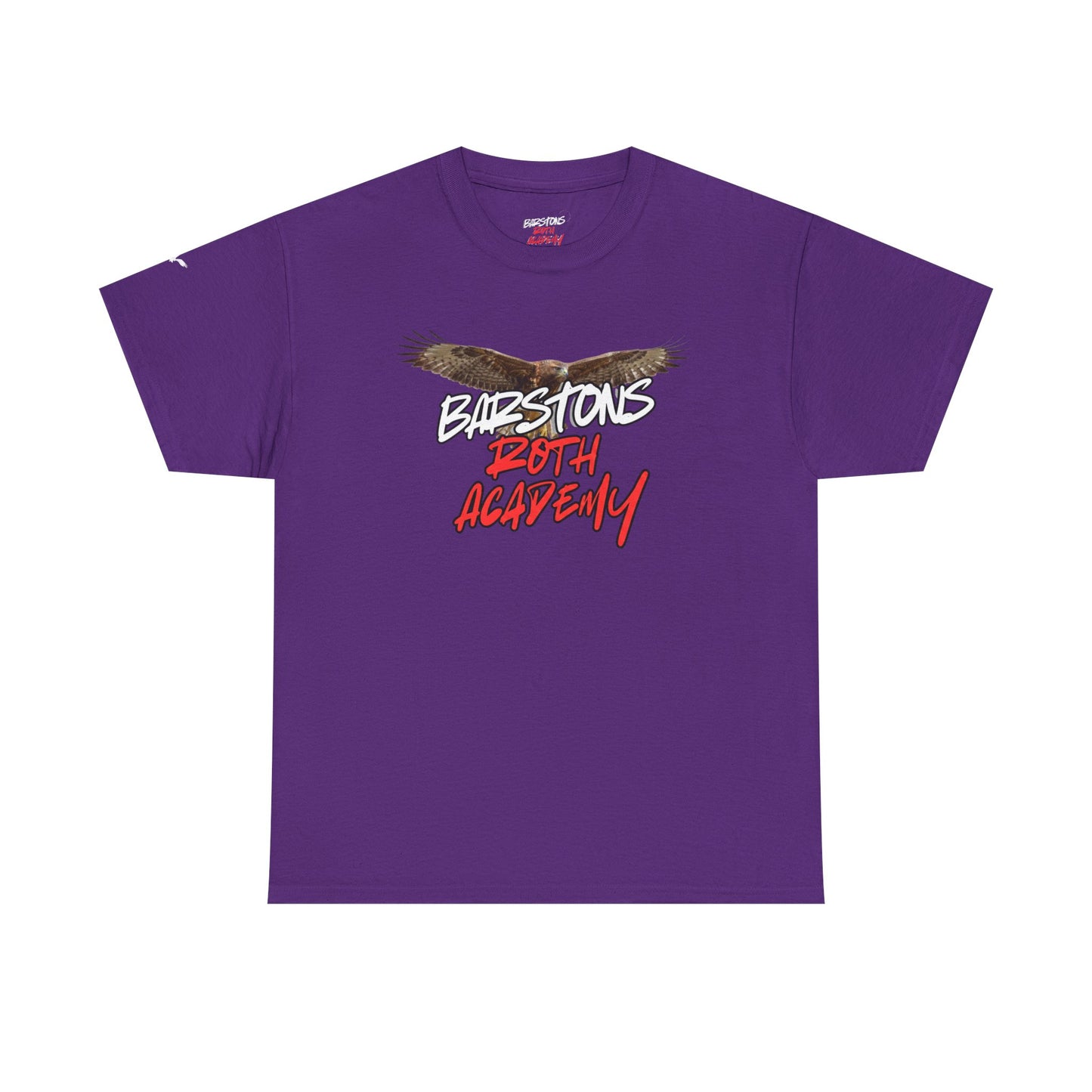 Barstons Roth Academy lost letter hawk crest  tee