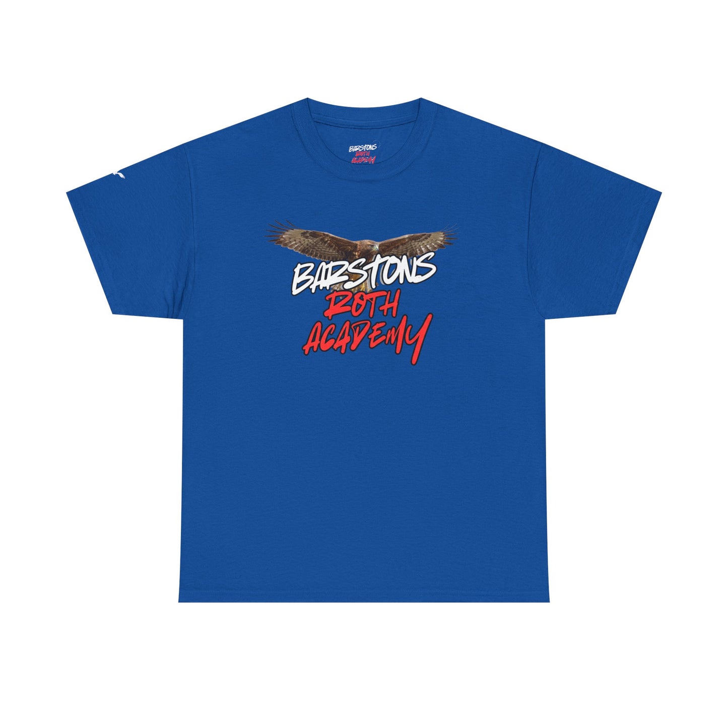 Barstons Roth Academy lost letter hawk crest  tee