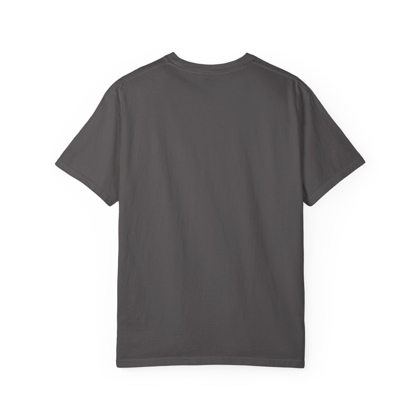 PAID THE RULER™ | Official Barstons Roth Graphic Tee