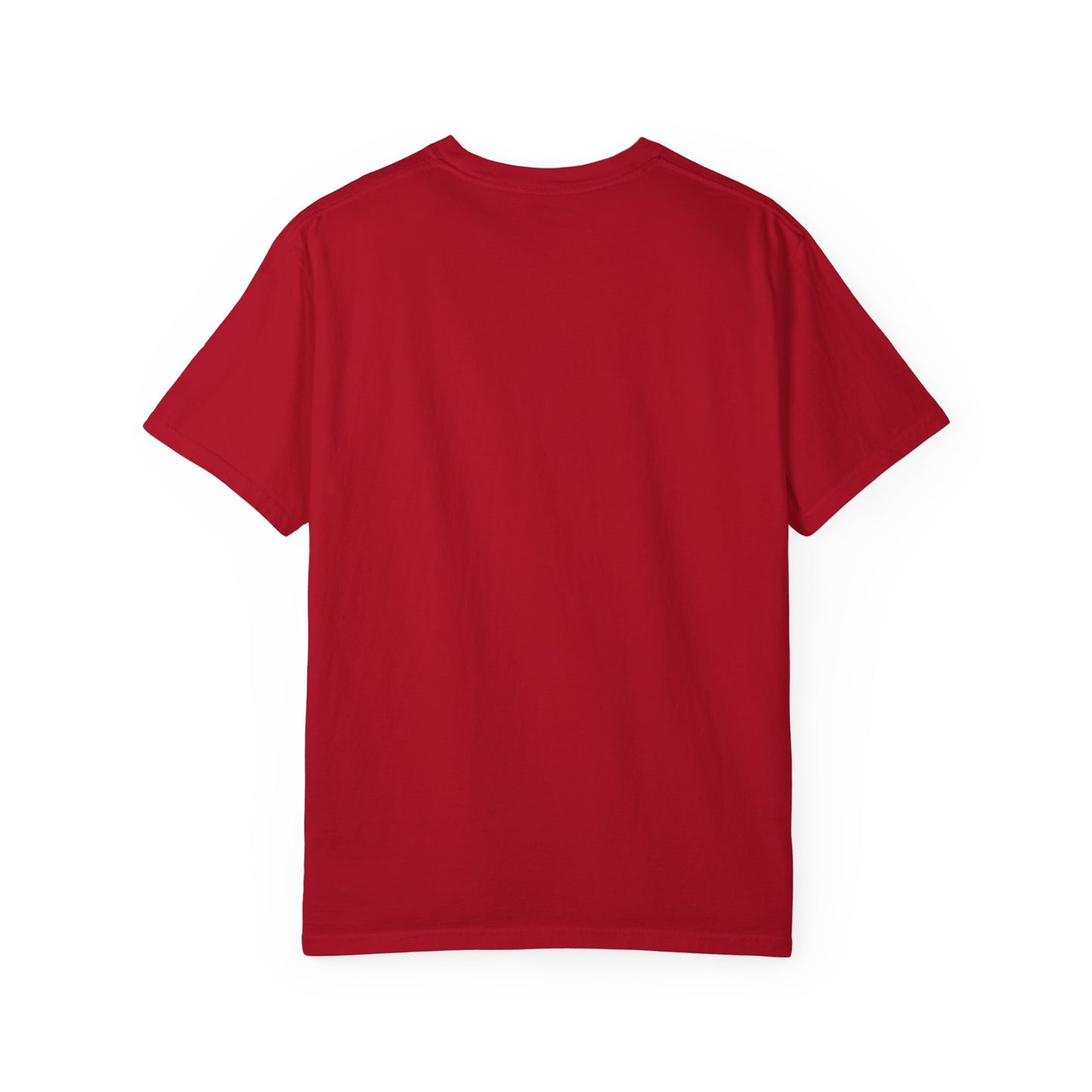 PAID THE RULER™ | Official Barstons Roth Graphic Tee