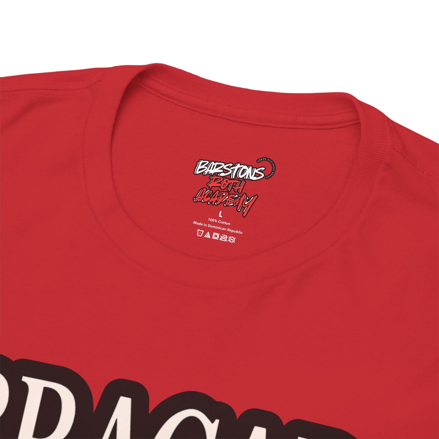 Barstons Roth Academy-common  loon tee