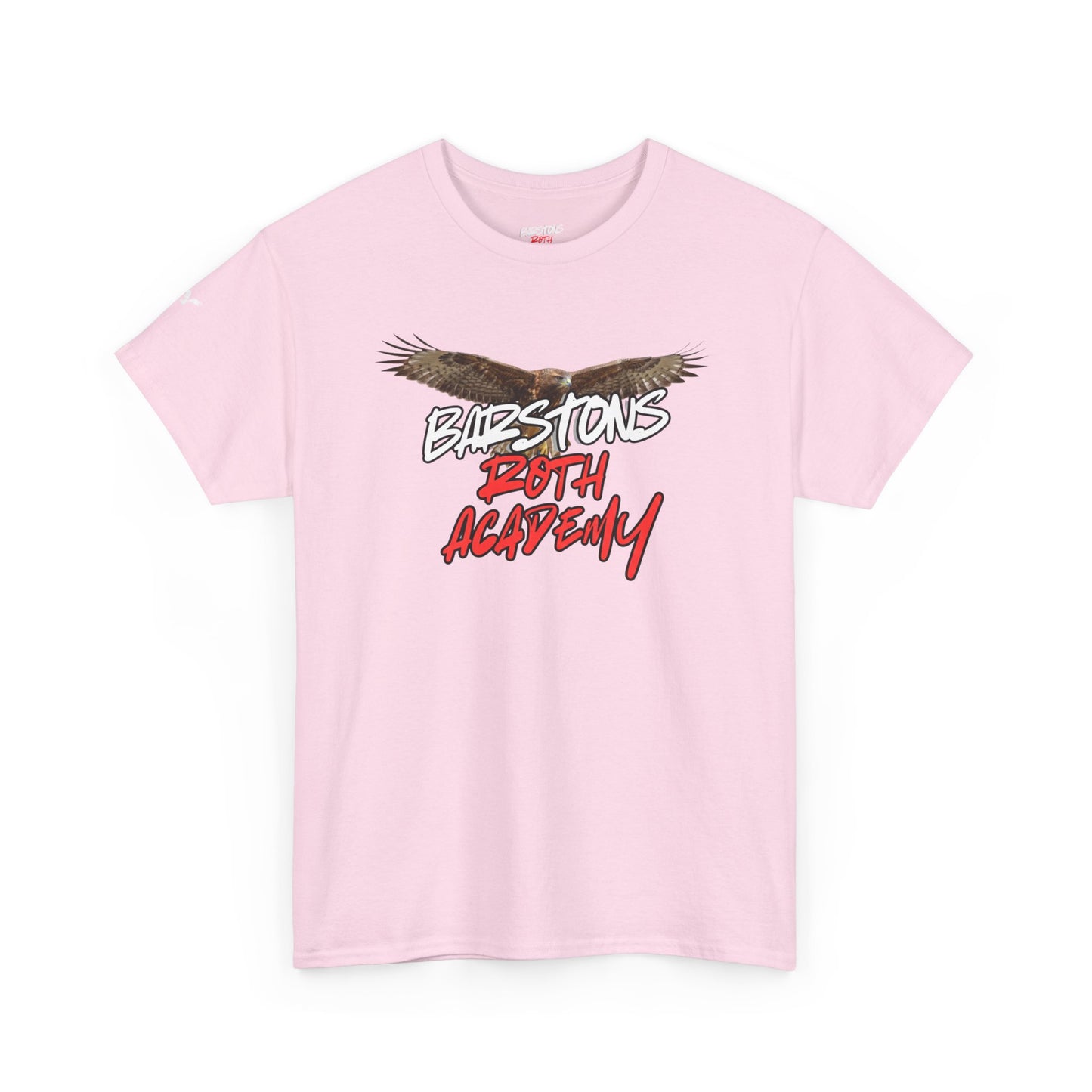 Barstons Roth Academy lost letter hawk crest  tee