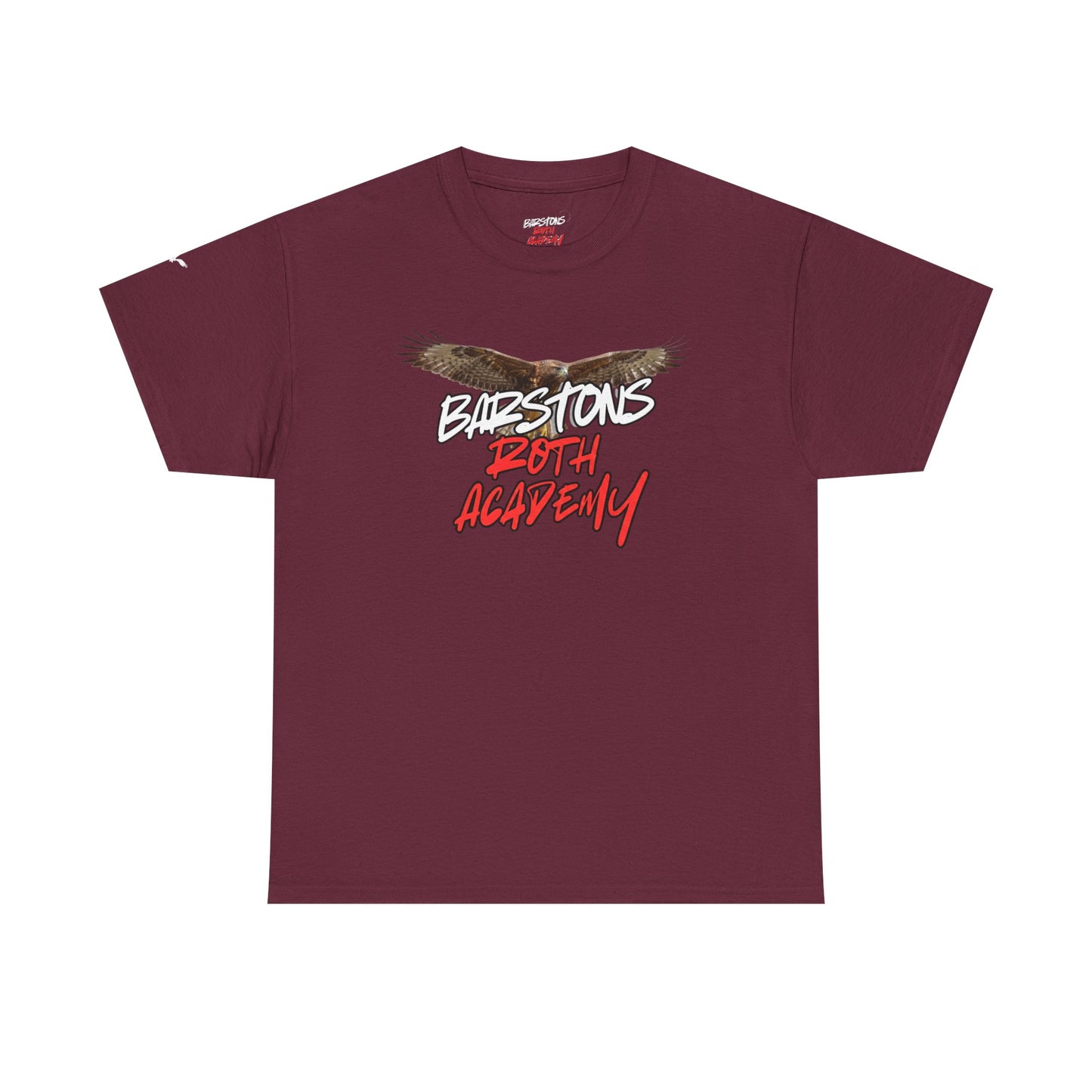 Barstons Roth Academy lost letter hawk crest  tee