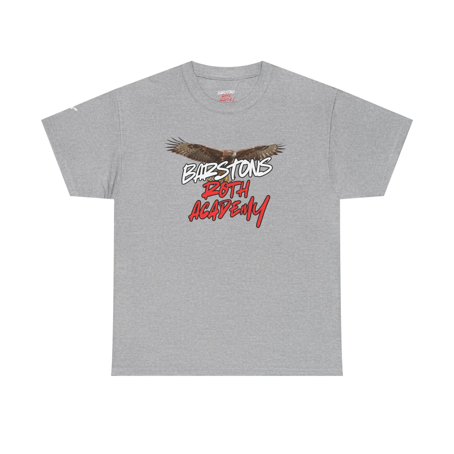 Barstons Roth Academy lost letter hawk crest  tee
