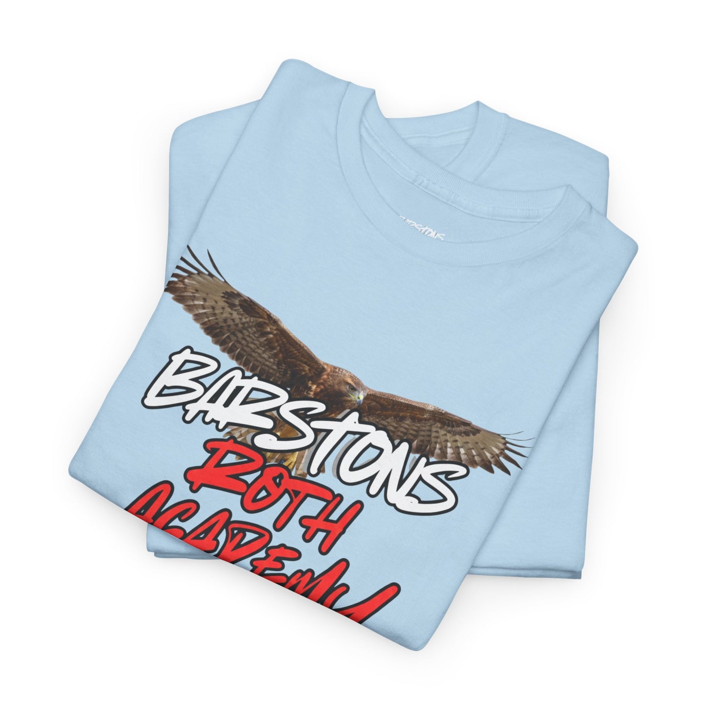 Barstons Roth Academy lost letter hawk crest  tee