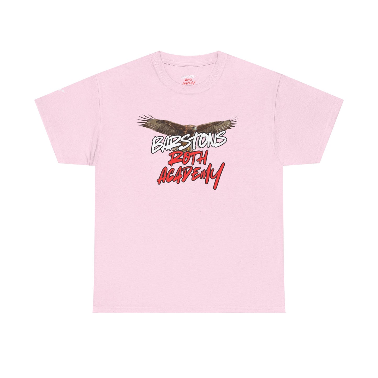 Barstons Roth Academy lost letter hawk crest  tee