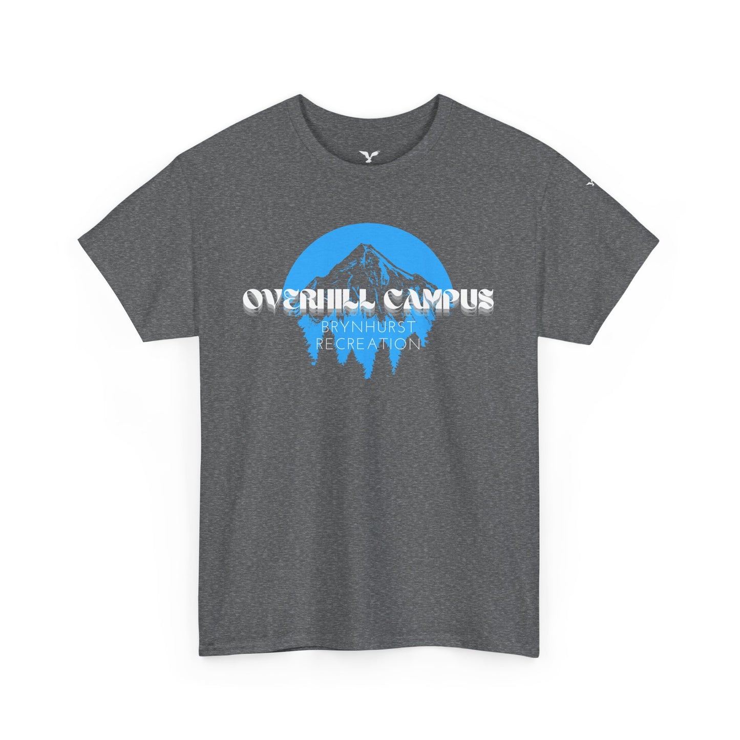 Overhill campus brynhurst recreationHeavy Cotton Tee