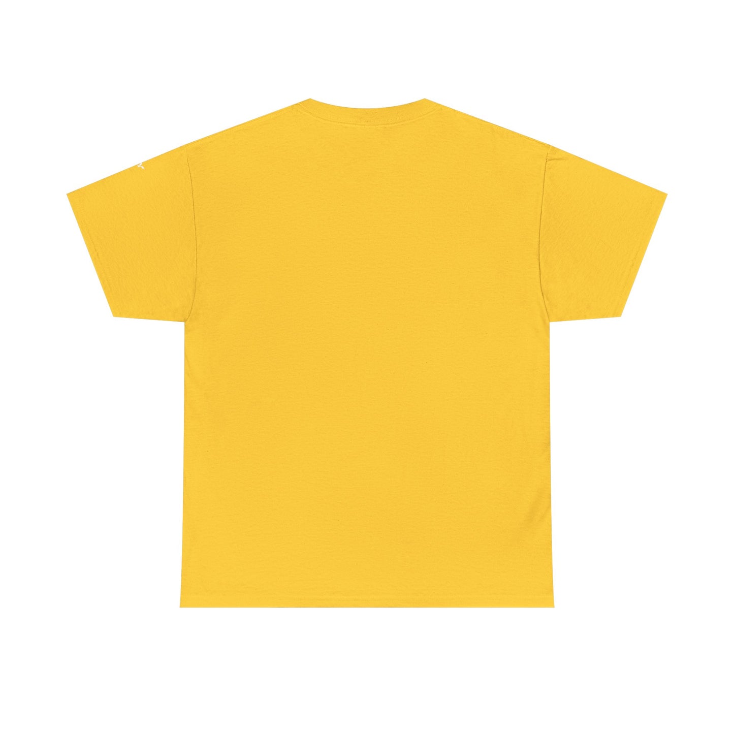 Overhill campus brynhurst recreationHeavy Cotton Tee