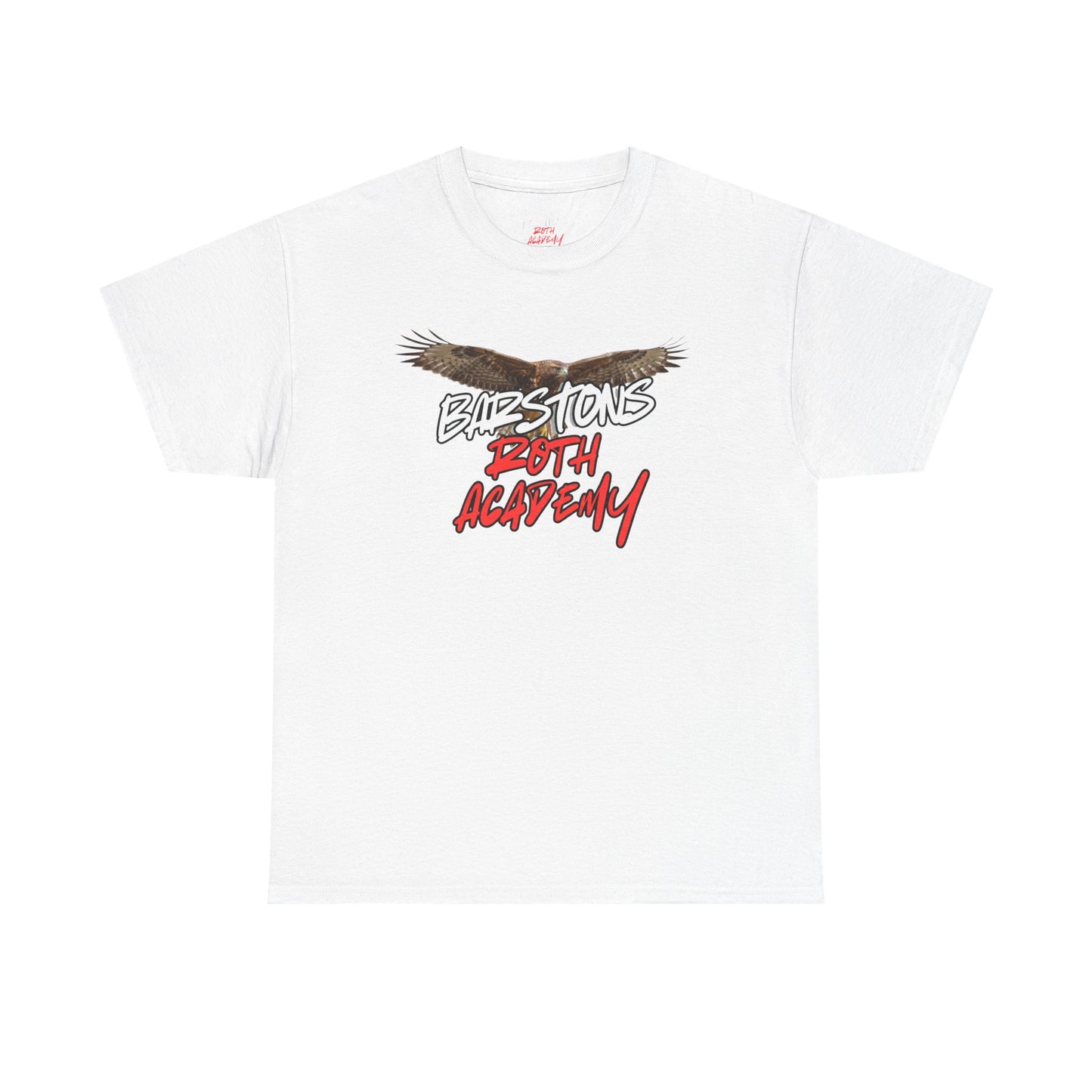 Barstons Roth Academy lost letter hawk crest  tee